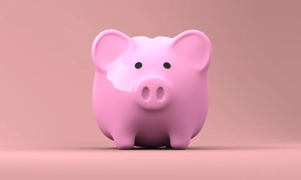 Pembe fonda pembe domuz kumbara